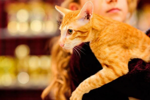 Красиві назви для хлопчиків Красиві назви для хлопчиків